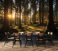 Fototapeta 3d zielony las promienie słońca drzewa mech natura krajobraz