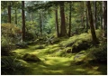 Fototapeta 3d zielony las mech drzewa paprocie natura leśny dziki krajobraz