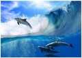 DELFINY FOTOTAPETA FOTOTAPETY NA ŚCIANĘ