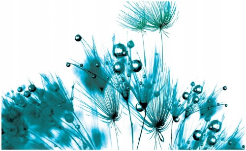 FOTOTAPETA DMUCHAWIEC FOTOTAPETY 208x146 24h