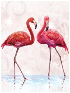 FLAMING FOTOTAPETA FOTOTAPETY FLAMINGI