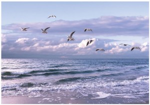 FOTOTAPETA MEWY MORZE FOTOTAPETY NA ŚCIANĘ