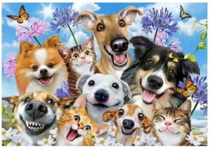 FOTOTAPETA DLA DZIECI SŁODKIE PIESKI PSY