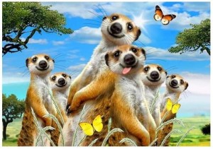 FOTOTAPETA DLA DZIECI SŁODKIE ZWIERZAKI