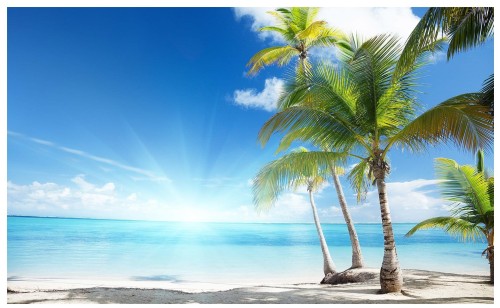 FOTOTAPETA PLAŻA PALMY NIEBO FOTOTAPETY