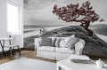 FOTOTAPETA DRZEWO NA SKALE FOTOTAPETY