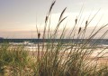 FOTOTAPETA MORZE PLAŻA BRZEG FOTOTAPETY