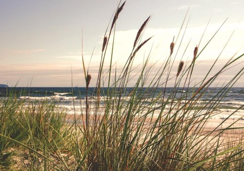 FOTOTAPETA MORZE PLAŻA BRZEG FOTOTAPETY