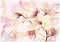 Fototapeta kwiat magnolia fototapety
