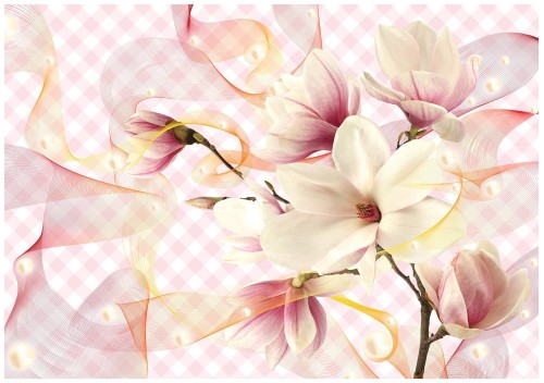 Fototapeta kwiat magnolia fototapety