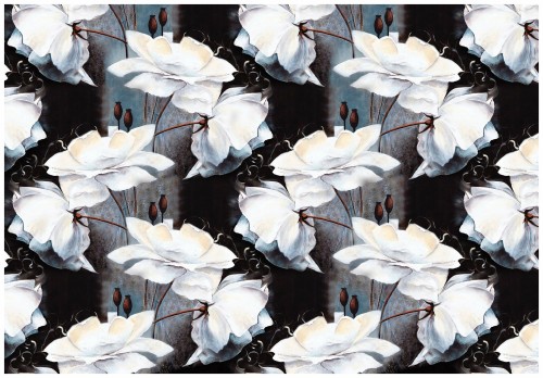 Fototapeta kwiat kwiaty fototapety