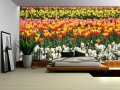 Fototapeta tulipany kwiaty fototapety