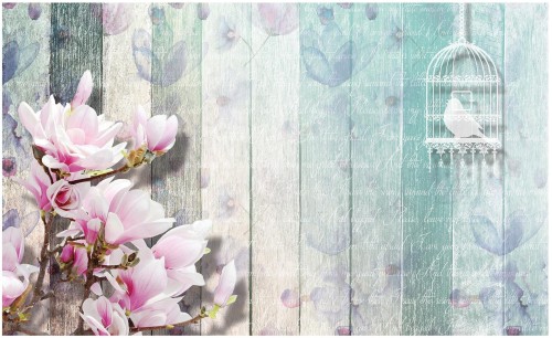 Fototapeta kwiat magnolia fototapety