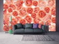 Fototapeta róża róże kwiaty fototapety