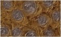 Fototapeta róża róże kwiaty fototapety