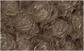 Fototapeta róża róże kwiaty fototapety