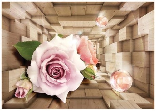 Fototapeta tunel 3d kwiaty Róże