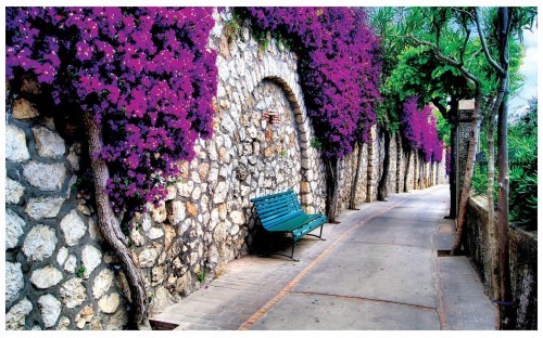 Fototapeta urokliwa uliczka mur kwiaty