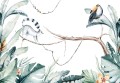 Fototapeta SAFARI zwierzęta TUKAN LEMUR