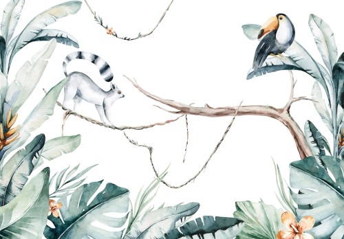Fototapeta SAFARI zwierzęta TUKAN LEMUR