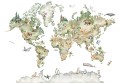 Fototapeta tapeta MAPA kontynenty ŚWIAT