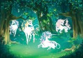 Fototapeta tapeta jednorożce las KONIKI