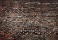 Fototapeta CEGŁA imitacja ściany murowanej flizelina MURAL+ klej