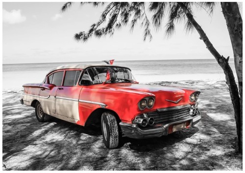 Fototapeta auto stary cadillac palmy fototapety