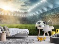 Fototapeta piłkarze PIŁKA stadion BOISKO