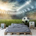Fototapeta piłkarze PIŁKA stadion BOISKO