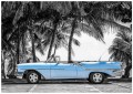 Fototapeta auto stary cadillac palmy fototapety