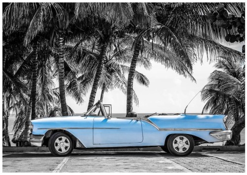 Fototapeta auto stary cadillac palmy fototapety