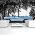 Fototapeta auto stary cadillac palmy fototapety