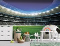 Fototapeta piłkarze PIŁKA stadion BOISKO