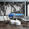 Fototapeta auto stary cadillac palmy fototapety