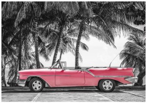 Fototapeta auto stary cadillac palmy fototapety