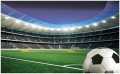 Fototapeta piłka nożna boisko fototapety