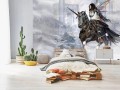 FOTOTAPETA Kobieta koń ALCHEMY SMOK MISTYKA mural na flizelinie