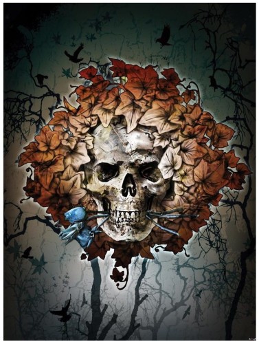 Fototapeta do pokoju młodzieżowego