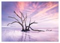 Fototapeta plaża morze niebo fototapety