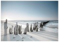 Fototapeta plaża morze niebo fototapety