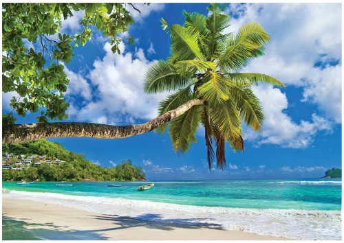 Fototapeta morze plaża palmy
