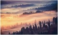 Fototapeta drzewo drzewa las mgła