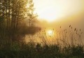 Fototapeta piękne góry SZCZYTY zachód słońca LAS DRZEWA