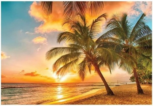 Fototapeta zachód słońca plaża palmy