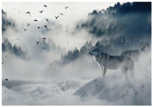 Fototapeta drzewo drzewa las mgła