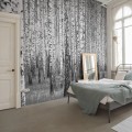 Fototapeta LAS WE MGLE drzewa góry widok