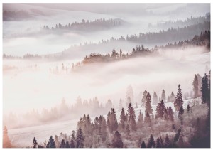 Fototapeta drzewo drzewa las mgła