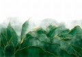 Fototapeta LIŚCIE kwiaty MONSTERA listki