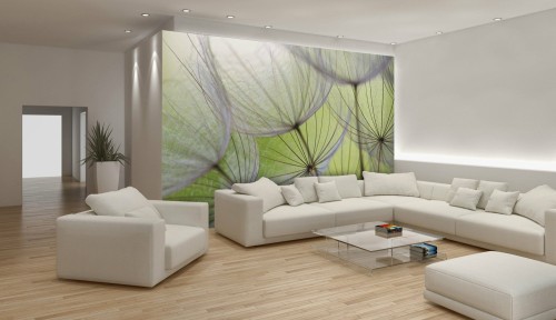 Fototapeta dmuchawce dmuchawiec fototapety